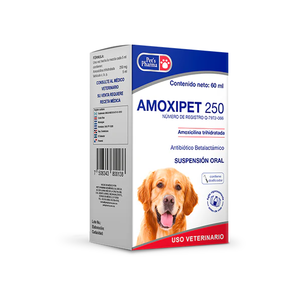 Amoxil Dog